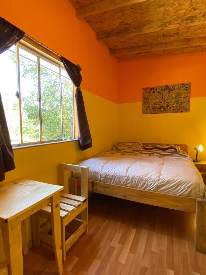 Willhouse Hostel Pucon Ngoại thất bức ảnh